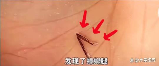 了比想象中的更加恶心难怪女性会得妇科病PG电子麻将胡了2315晚会大爆雷出现(图17)